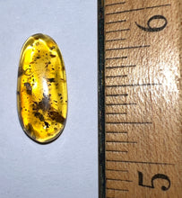 Load image into Gallery viewer, GEM Dinosaur age Burmite Fossil AMBER with a Cockroach and 3 Winged Insects! TESTED FOR AUTHENTICITY!!

