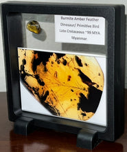 Load image into Gallery viewer, GEM Dinosaur age Burmite Fossil AMBER with SUPER RARE HUGE PRISTINE FEATHER 7+ mm! TESTED FOR AUTHENTICITY!!
