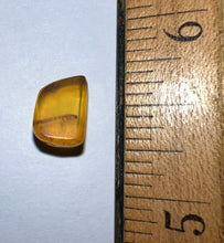 Load image into Gallery viewer, Dinosaur age Burmite Fossil AMBER with a HUGE 6+ mm Insect Larva! TESTED FOR AUTHENTICITY!!
