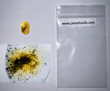 Load image into Gallery viewer, GEM Dinosaur age Burmite Fossil AMBER with a Rare Tick! TESTED FOR AUTHENTICITY!!
