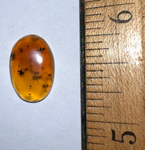 Load image into Gallery viewer, Dinosaur age Burmite Fossil AMBER with a Rare Tick! TESTED FOR AUTHENTICITY!!
