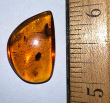 Load image into Gallery viewer, Dinosaur age Burmite Fossil AMBER with 2 HUGE 5+ mm Insect Larvae! TESTED FOR AUTHENTICITY!!
