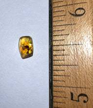 Load image into Gallery viewer, GEM Dinosaur age Burmite Fossil AMBER with Rare Pristine Ant! TESTED FOR AUTHENTICITY!!
