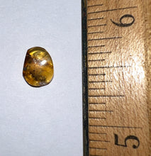 Load image into Gallery viewer, GEM Dinosaur age Burmite Fossil AMBER with Rare Pristine Ant! TESTED FOR AUTHENTICITY!!
