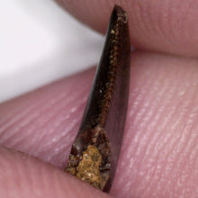 Load image into Gallery viewer, Rare Acheroraptor Fossil Tooth Dromaeosaur True Raptor from the Hell Creek .37 Inches!
