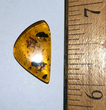 Load image into Gallery viewer, Dinosaur age Burmite Fossil AMBER with rare HOUSE CENTIPEDE! TESTED FOR AUTHENTICITY!!
