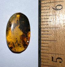 Load image into Gallery viewer, Dinosaur age Burmite Fossil AMBER with a Spider and 4 Winged Insects! TESTED FOR AUTHENTICITY!!
