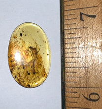 Load image into Gallery viewer, GEM Dinosaur age Burmite Fossil AMBER with a Rare PRISTINE HUGE 11 MM SCORPION! TESTED FOR AUTHENTICITY!!
