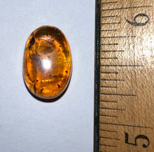 Load image into Gallery viewer, GEM Dinosaur age Burmite Fossil AMBER with rare Lacewing! TESTED FOR AUTHENTICITY!!
