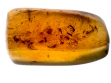 Load image into Gallery viewer, Dinosaur age Burmite Fossil AMBER with 14 Winged Insects! TESTED FOR AUTHENTICITY!!
