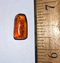 Load image into Gallery viewer, Dinosaur age Burmite Fossil AMBER with 14 Winged Insects! TESTED FOR AUTHENTICITY!!
