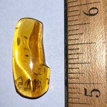Load image into Gallery viewer, GEM Dinosaur age Burmite Fossil AMBER with SUPER RARE FEATHER Fragments! TESTED FOR AUTHENTICITY!!

