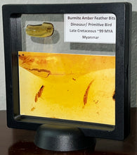 Load image into Gallery viewer, GEM Dinosaur age Burmite Fossil AMBER with SUPER RARE FEATHER Fragments! TESTED FOR AUTHENTICITY!!
