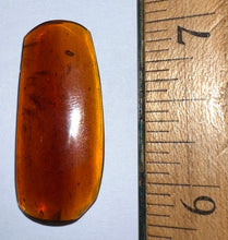 Load image into Gallery viewer, Dinosaur age Burmite Fossil AMBER with SUPER RARE 5 FEATHERS! TESTED FOR AUTHENTICITY!!
