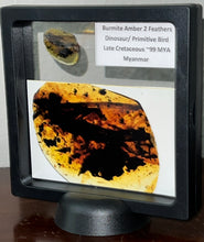 Load image into Gallery viewer, Dinosaur age Burmite Fossil AMBER with SUPER RARE 2 HUGE 14 MM FEATHERS! TESTED FOR AUTHENTICITY!!
