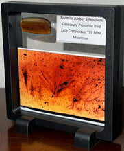 Load image into Gallery viewer, Dinosaur age Burmite Fossil AMBER with SUPER RARE 5 FEATHERS! TESTED FOR AUTHENTICITY!!
