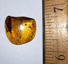 Load image into Gallery viewer, GEM Dinosaur age Burmite Fossil AMBER with SUPER RARE HUGE FEATHER 11 mm! TESTED FOR AUTHENTICITY!!
