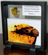 Load image into Gallery viewer, GEM Dinosaur age Burmite Fossil AMBER with SUPER RARE HUGE FEATHER 11 mm! TESTED FOR AUTHENTICITY!!
