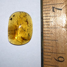 Load image into Gallery viewer, GEM Dinosaur age Burmite Fossil AMBER with SUPER RARE PRISTINE 2 FEATHERS! TESTED FOR AUTHENTICITY!!
