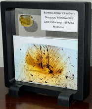 Load image into Gallery viewer, GEM Dinosaur age Burmite Fossil AMBER with SUPER RARE PRISTINE 2 FEATHERS! TESTED FOR AUTHENTICITY!!
