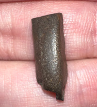 Load image into Gallery viewer, Framed Dinosaur and Reptile Tooth Collection Includes Tyrannosaurus Rex, Carcharodontosaur, Spinosaur, Triceratops type, and More!
