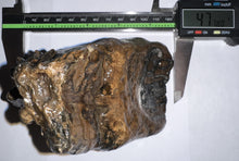Load image into Gallery viewer, Ice Age Woolly Mammoth Molar 4.7 Inches from Siberia
