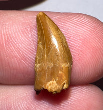 Load image into Gallery viewer, Research samples for Niels
