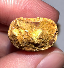 Load image into Gallery viewer, Carcharodontosaur Fossil Tooth 1.59 Inches No Repair
