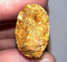 Load image into Gallery viewer, Large Carcharodontosaur Fossil Tooth 2.08 Inches
