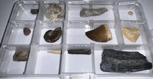 Load image into Gallery viewer, Beginner Collection of 12 labeled Fossils in a clear case. Includes Mosasaur Tooth, Dinosaur Bone Fragment, Extinct Ice Age Horse Tooth and more!
