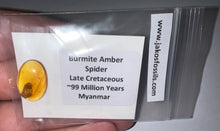 Load image into Gallery viewer, Dinosaur age Burmite Fossil AMBER with SPIDER Lot! One Per Order! TESTED FOR AUTHENTICITY!!
