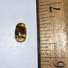 Load image into Gallery viewer, Dinosaur age Burmite Fossil AMBER with SUPER RARE FEATHER! 4.5 MM! TESTED FOR AUTHENTICITY!!
