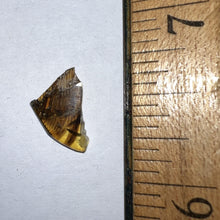 Load image into Gallery viewer, Dinosaur age Burmite Fossil AMBER with Large SUPER RARE FEATHER! 12 MM! TESTED FOR AUTHENTICITY!!
