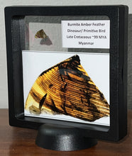 Load image into Gallery viewer, Dinosaur age Burmite Fossil AMBER with Large SUPER RARE FEATHER! 12 MM! TESTED FOR AUTHENTICITY!!
