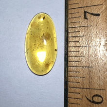 Load image into Gallery viewer, GEM Dinosaur age Burmite Fossil AMBER with PRISTINE SUPER RARE FEATHER and numerous ARACHNIDS! TESTED FOR AUTHENTICITY!!
