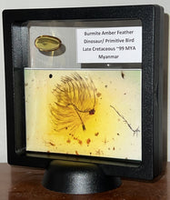 Load image into Gallery viewer, GEM Dinosaur age Burmite Fossil AMBER with PRISTINE SUPER RARE FEATHER and numerous ARACHNIDS! TESTED FOR AUTHENTICITY!!
