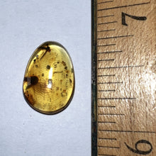 Load image into Gallery viewer, GEM Dinosaur age Burmite Fossil AMBER with PRISTINE SUPER RARE FEATHER 5 mm! TESTED FOR AUTHENTICITY!!
