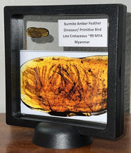 Load image into Gallery viewer, Dinosaur age Burmite Fossil AMBER with 2 HUGE PRISTINE SUPER RARE FEATHERS 9 mm! TESTED FOR AUTHENTICITY!!
