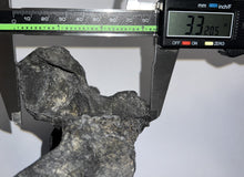 Load image into Gallery viewer, Rare Huge Ice Age Fossil Ground Sloth Paramylodon Caudal Vertebra Tail Bone 6.42 Inches
