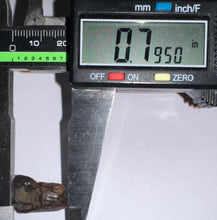 Load image into Gallery viewer, Framed Large Triceratops type Ceratopsian Tooth .79 Inches
