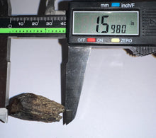Load image into Gallery viewer, GEM Huge Triceratops type Ceratopsian Tooth with Full Crown and Root 1.59 Inches Hell Creek Montana
