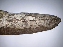 Load image into Gallery viewer, Triceratops type Ceratopsian Partial Brow Horn 16 Inches Hell Creek Montana
