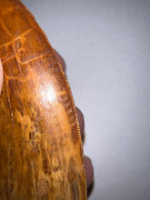 Load image into Gallery viewer, Huge Carcharodontosaur Fossil Tooth just under 3 Inches No Repair Incredible Serrations
