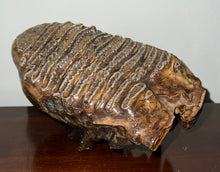 Load image into Gallery viewer, Huge Ice Age Fossil Woolly Mammoth Molar 8.79 Inches from Siberia
