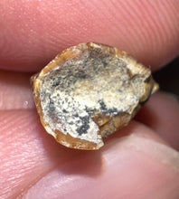 Load image into Gallery viewer, Gem Rare Large Majungasaurus Pathological Fossil Premax Tooth Giant Abelisaur .87 Inches!
