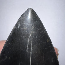 Load image into Gallery viewer, Large Megalodon Jet Black Fossil Shark Tooth 4.31 Inches Incredible Serrations! Not Repaired!
