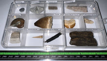 Load image into Gallery viewer, Beginner Collection of 12 labeled Fossils in a clear case. Includes Mosasaur Tooth, Dinosaur Bone Fragment, Extinct Ice Age Horse Tooth and more!
