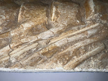 Load image into Gallery viewer, SUPER RARE Natural Articulated Mosasaur Tail Vertebrae in Original Matrix 6.5 Vertebrae! 8.8 Inches! Dinosaur Era Marine Reptile!
