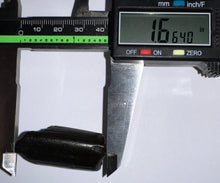 Load image into Gallery viewer, Ice Age Fossil Ground Sloth Megalonyx Tooth 1.66 Inches
