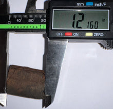 Load image into Gallery viewer, Rare Ice Age Fossil Ground Sloth Paramylodon Tooth 1.21 Inches
